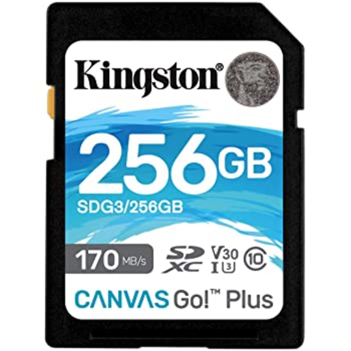 Карта памяті SDXC (UHS-1 U3) Kingston Canvas Go Plus 256Gb class 10 V30 (R170MB/s, W90MB/s) (SDG3/256GB) Фото 2 Карта памяті SDXC (UHS-1 U3) Kingston Canvas Go Plus 256Gb class 10 V30 (R170MB/s, W90MB/s) (SDG3/256GB) на картинке №2
