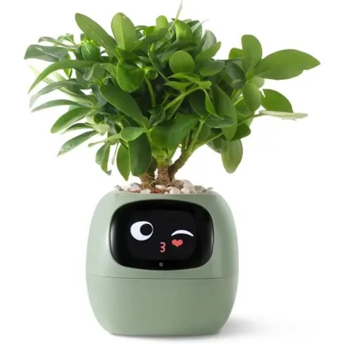 Інтерактивний розумний горщик для рослин Ivy Smart Planter Tuya AI, Green на картинке №1