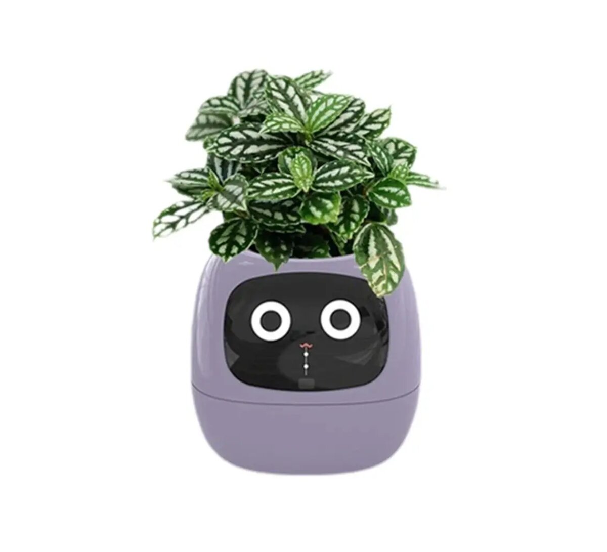 Інтерактивний розумний горщик для рослин Ivy Smart Planter Tuya AI, Purple (ISPTAPR) на картинке №1