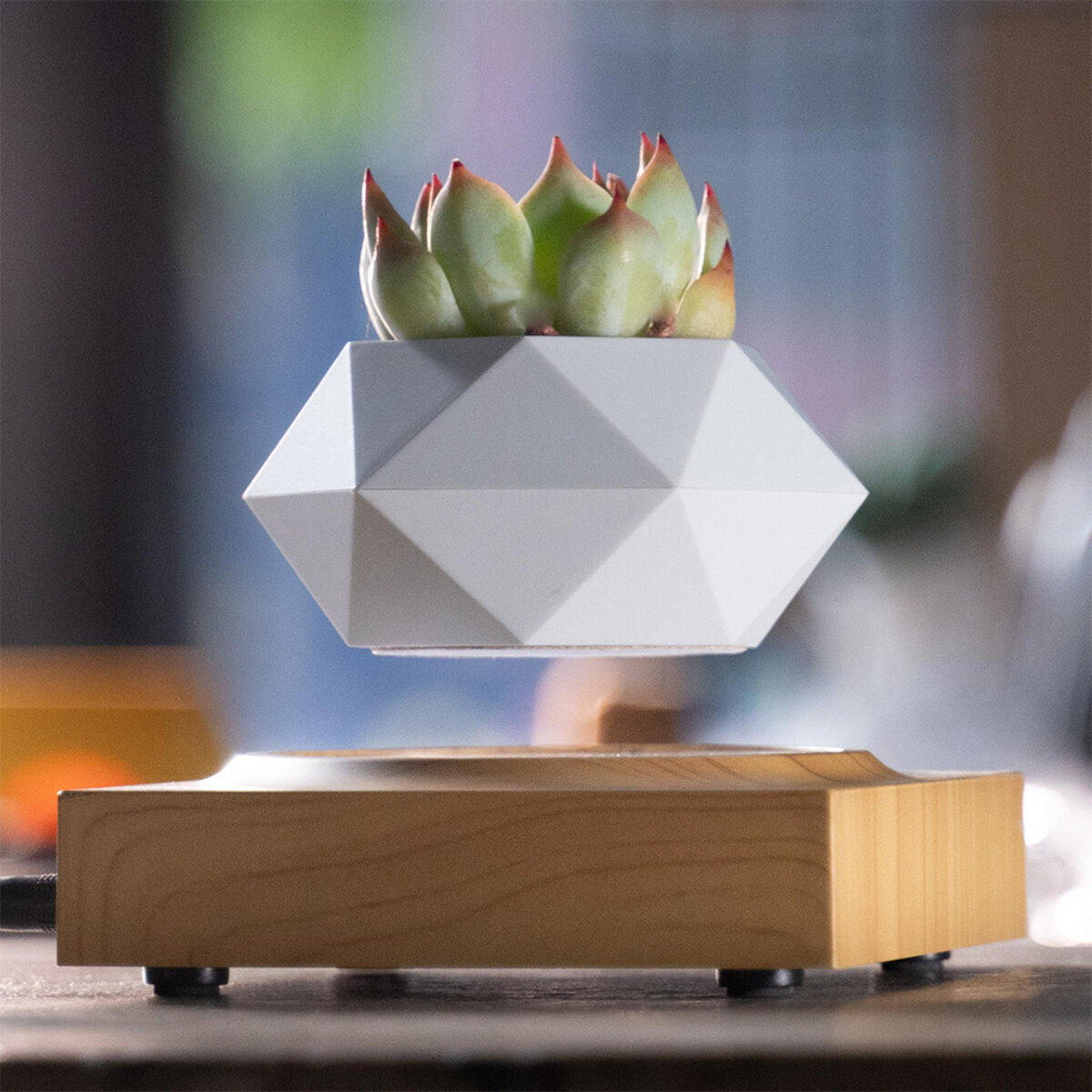 Магнітний левітаційний горщик для рослин HCNT Magnetic Levitating Pot M10-FP  Wood Grain на малюнкі №2